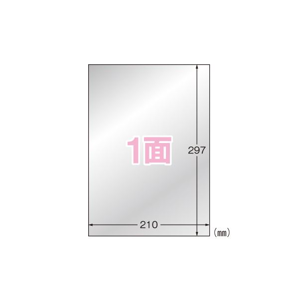 直送・代引不可 (まとめ) エーワン 屋外でも使えるサインラベルシール ツヤ消しフィルム・シルバー 31035 10枚入 【×2セット】 別商品の同時注文不可