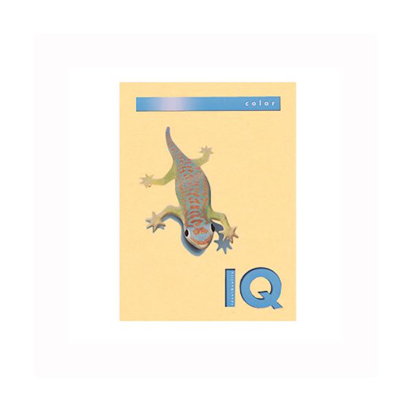 直送・代引不可 （まとめ） 伊東屋 バイオトップカラー A4判 250枚入 160g／m2 BT815 サーモン 【×2セット】 別商品の同時注文不可