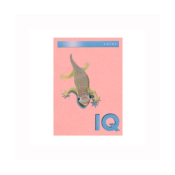 直送・代引不可 （まとめ） 伊東屋 バイオトップカラー A4判 250枚入 120g／m2 BT704 ピンク 【×2セット】 別商品の同時注文不可