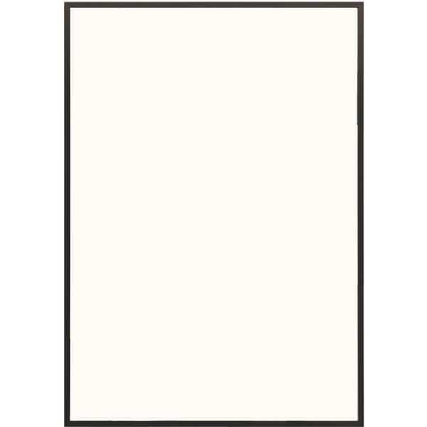 直送・代引不可 多目的 フレーム/額縁 【B1 ブラック】 表面カバー:UVカット機能付きPET 『かる!フレーム』 別商品の同時注文不可