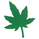 直送・代引不可 (まとめ)Carla Craft クラフトパンチM CP-2 モミジ【×5セット】 別商品の同時注文不可