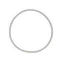 直送・代引不可 Oリング セパラブルフラスコ用(SCHOTTタイプ) 100mm 【005960-100】 別商品の同時注文不可