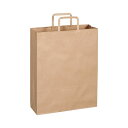 直送・代引不可 TANOSEE 紙手提袋 平紐 大ヨコ320×タテ400×マチ幅115mm 茶無地 1セット(300枚:50枚×6パック) 別商品の同時注文不可