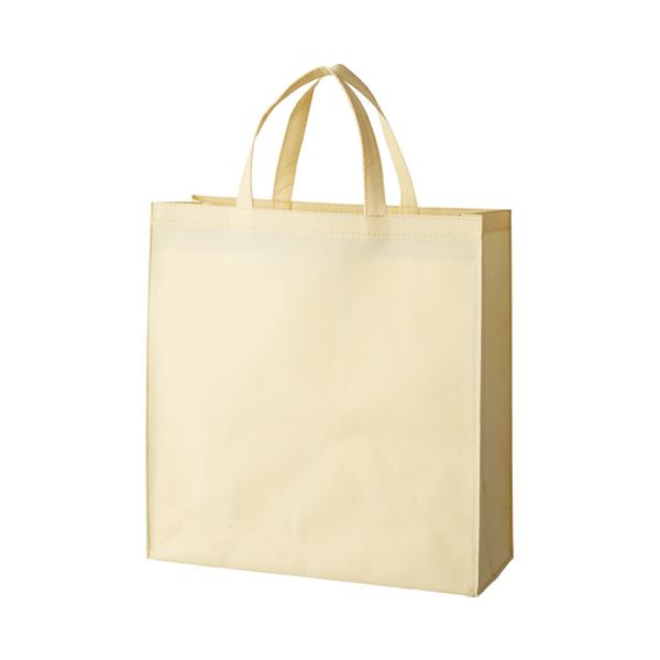 直送・代引不可 （まとめ） スマートバリュー 不織布手提げバッグ小10枚ベージュB450J-BE【×10セット】 別商品の同時注文不可