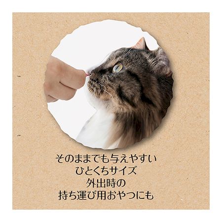 ペティオ 4903588133244 素材そのまま フリーズドライ For Cat ササミ 15g Petio スナック おやつ ペティオ素材そのまま 素材フリーズドライ キャットフード ねこ 3