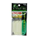 翌日出荷 ソニック SG-296 光るキーホルダー名札 蓄光タイプ SG296 両面表示 キーホルダーナフダチクコウ 光るキーホルダー名札蓄光タイプ 畜光タイプ(3)
