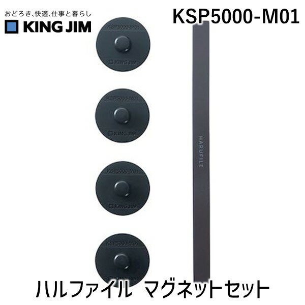 キングジム KSP5000-M01 ハルファイル マグネットセット KSP5000M01