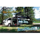 【個数:1個】CSS-01 直送 代引不可・他メーカー同梱不可 ダイキ カーサイドスクリーン3.0mタイプ CSS01