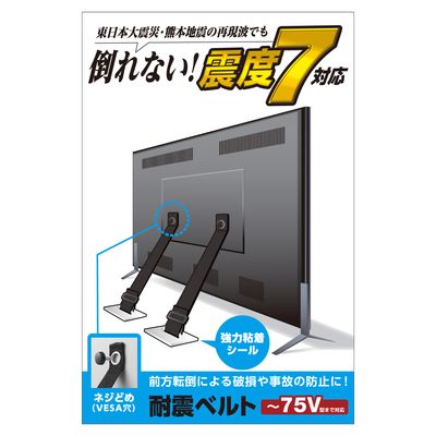 エレコム ELECOM TS-006N 耐震ベルト【ネジどめ】TS006N ネジどめタイプ TV用耐震ベルト テレビ ネジどめVESA穴