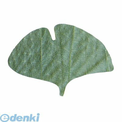 (LINEクーポン有)QHO1103 プチ干朴葉懐敷 緑 50枚入 23922 銀杏型 4988484239221 ヤマコー プチ干朴葉..