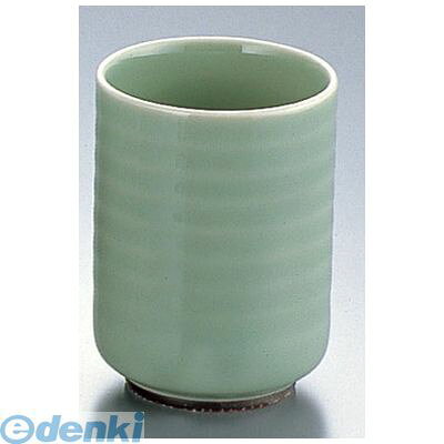 RYNA401 天竜青磁湯呑 D03−56 4560342473536 エムズジャパン TKG