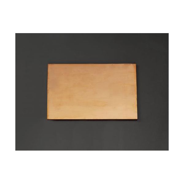 【即納在庫品】「直送」【個人宅配送不可】 エスコ EA441VA-21 直送 代引不可・他メーカー同梱不可 300x300x2mm 銅板 EA441VA21【キャンセル不可】