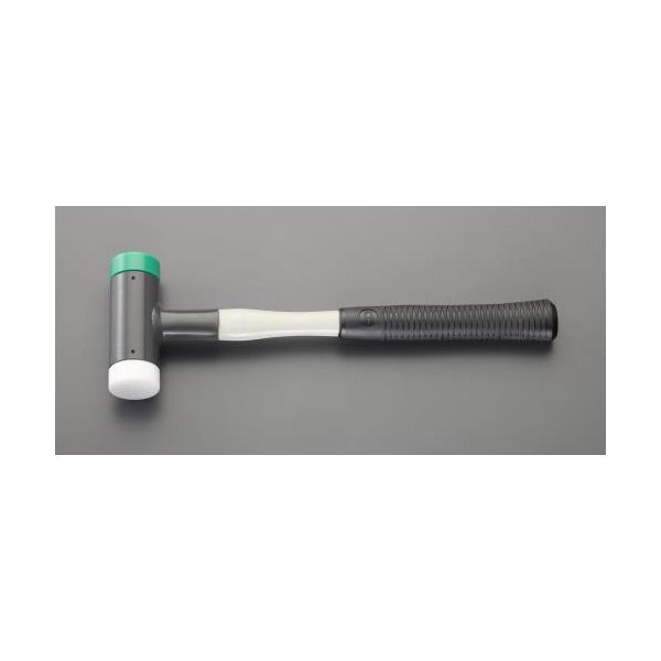●材質…頭：ナイロン・ポリエチレン柄：ファイバーグラス●全重量…800g●頭径…43mm●全長…385mm●頭重量…600g類似商品はこちら エスコEA575WT-301 直送 代引不可8,783円 エスコEA575WT-203 直送 代引不可26,122円 エスコEA575WT-205 直送 代引不可37,625円 エスコEA575WT-204 直送 代引不可30,606円 エスコEA575WT-170 直送 代引不可17,256円 エスコEA575WT-179 直送 代引不可19,105円 エスコ EA575WT-66 直送 代引不可18,521円 エスコ EA575WT-50 直送 代引不可13,451円 エスコ EA575WT-46 直送 代引不可11,794円 エスコ EA575WT-34 直送 代引不可9,942円エスコ EA575WT-343 φ43mm／緑2,548円 エスコEA575WT-327 直送 代引不可9,633円