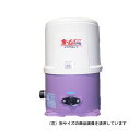 4975567184707 寺田 ホームポンプ 50HZ THP−250KF 寺田ポンプ製作所 浅井戸用ホームポンプ 浅井戸ホームポンプ