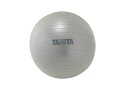 タニタ(TANITA) TS962SV ジムボール シルバー