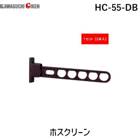 川口技研 HC-55-DB ホスクリーン 2本入 HC55DB ダークブロンズ スタンダードタイプ HC-55型 物干し金物 腰壁用 0004-00926 腰壁用ホスクリーンスタンダードタイプ