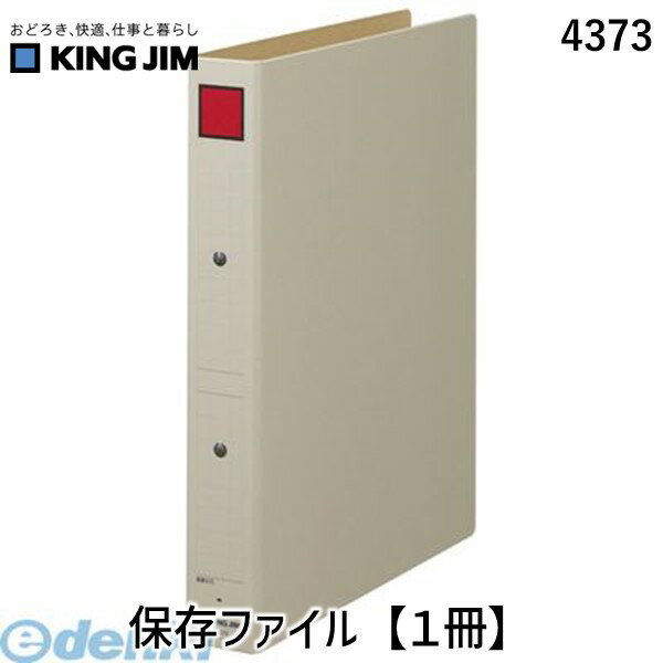 キングジム KING JIM 4373 保存ファイル【1冊】 ピクト赤