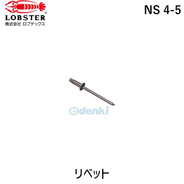 【即納在庫品】「直送」ロブテックス LOBSTER NS 4-5 ブラインドリベット スティール／スティール製 4−5 1000本入 箱入 NS45 スティール ブラインドブラインドリベット スティール／スティール製 4−5 1000本入 箱入 エビ NS4-5 箱入 tr-1259296 LOBTEX 丸頭 49