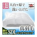 【個数：1個】 90400047 直送 代引不可・他メーカー同梱不可 スペイン産ホワイトダック 成熟羽毛寝具シリーズ 〔真羽毛〕 掛け布団 セミダブル ロングサイズ