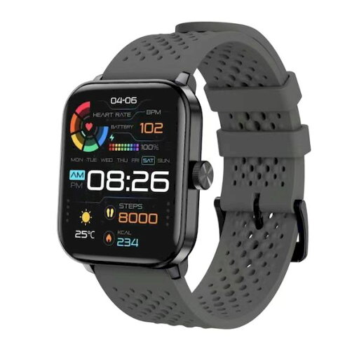 タスク F19 グレー SMART R スマートウォッチ F19グレー タスク F19 グレー SMART R スマートウォッチ F19グレー