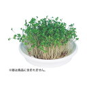 【個数:1個】ATC102969X10 直送 代引不可・他メーカー同梱不可 10個セット ARTEC 水耕栽培ユニット ブロッコリースプラウト