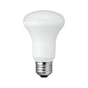 【個数:1個】LDR5NHX10 直送 代引不可・他メーカー同梱不可 10個セット YAZAWA R63レフ形LED 昼白色(3)
