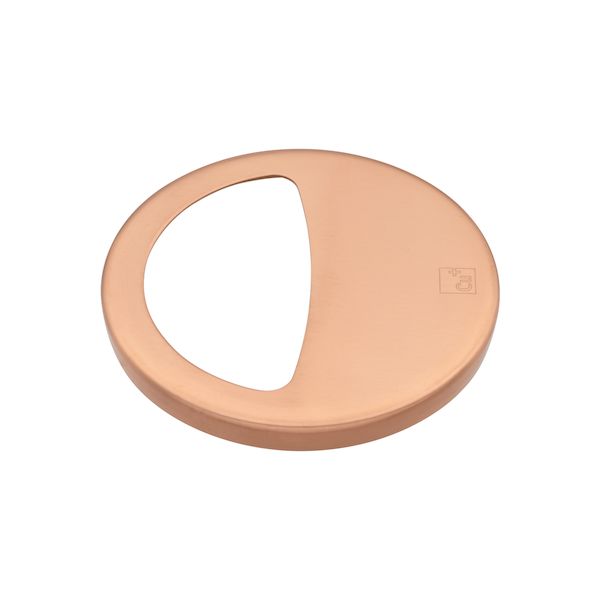 カクダイ GA-PB044 GAONA ガオナ これカモ シンク用 排水口の銅製フタ ゴミを隠す【殺菌効果 ヌメリ・..