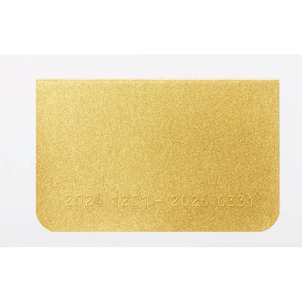 レイメイ藤井 RFD2513G 【5個入】 25カードサイズダイアリー ゴールド