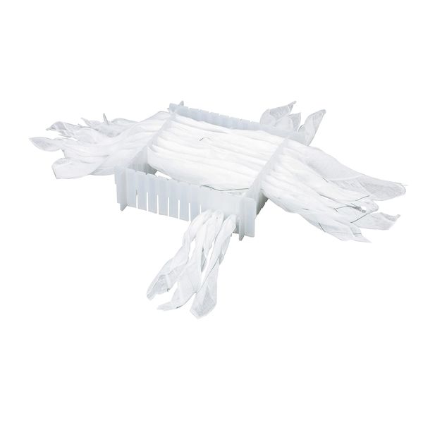 【11/25限定!抽選で最大100%ポイントバック】【個数:100個】4958286701615 【100個入】 直送 代引不可・他メーカー同梱不可 ハクゾウメ...