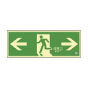 【個数:1個】360803(チクコウSN-2803) 直送 代引不可・他メーカー同梱不可 日本緑十字社 高輝度蓄光避難誘導標識 非常口両矢印 360803 チクコウSN-2803 360803(チクコウSN2803)