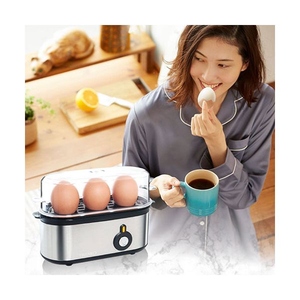 【個数：1個】SUFAEGSSL 直送 代引不可・他メーカー同梱不可 サンコー 卓上で簡単ゆでたまご 超高速エッグスチーマー