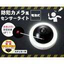 K13441-1 防犯カメラ風センサーライト K13441