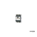 翌日出荷 テンパール工業 GBU-53・1EC 50A 30MA 中性線欠相保護付漏電遮断器 GBU53・1EC50A30MA