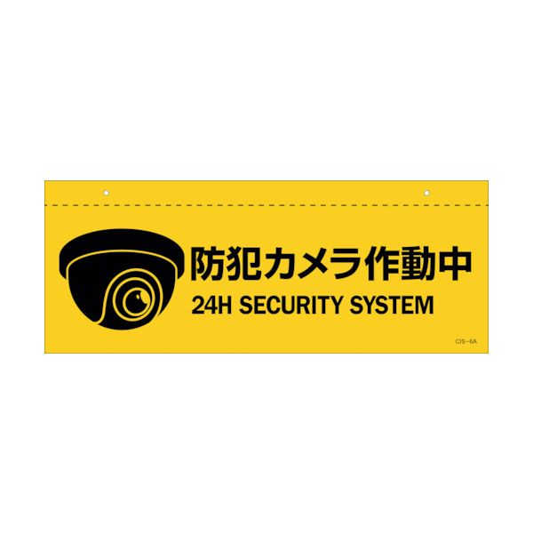 緑十字 407061 イラスト標識 天井用 防犯カメラ作動中 CIS−6 A 140×360mm PET edenki-22191065 測定器・工具のイーデンキ パッケージ画像