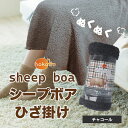 4589596695198 hokotto シープボアひざ掛け 70×100cm チャコール【キャンセル不可】