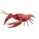 フジミ模型 4968728171203 自由研究−24EX−6 いきもの編 アメリカザリガニ メタリックレッド