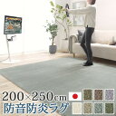 【個数:1個】33101388VADG 直送 代引不可・他メーカー同梱不可 防音防炎ラグ−エイヴァ 200x250cm ダークグリーン(3)