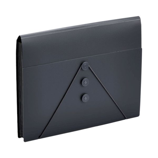 キングジム KIMG JIM 2290-BK サクッと整理！ドキュメントファイルフタ付 2290BK