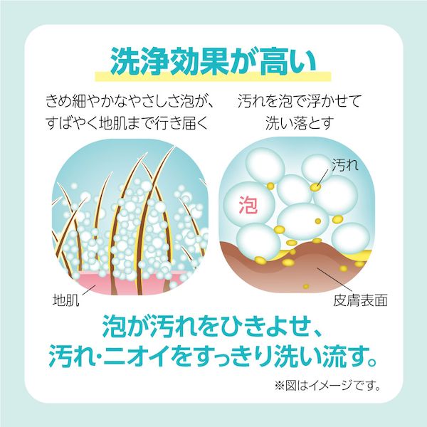 ライオンペット 4903351008939 ペットキレイ 泡リンスインシャンプー 犬用 肌ケア ...