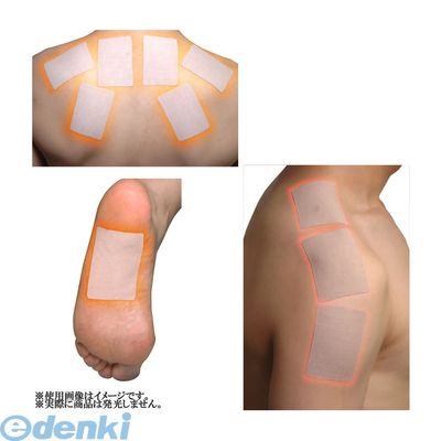 【本日楽天ポイント4倍相当】【定形外郵便で送料無料でお届け】株式会社ユニマットリケンアサイービューティースムージー 200g【TK390】