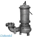 【個人宅配送不可】寺田ポンプ製作所 CS6N015LE 直送 代引不可・他メーカー同梱不可 防食形ステンレス水中ポンプ 【SUS316】50Hz