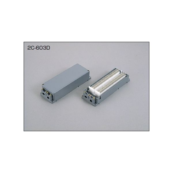 三和電気工業 2C-603D クリップ端子板【サンワD】 2C603D