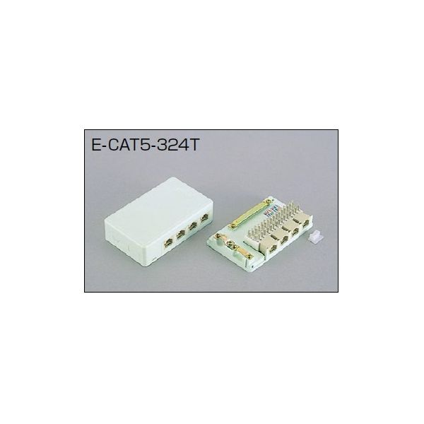 三和電気工業 E-CAT5-324T RJ－45アウトレット【ロ－ゼット】 4コ口 CAT5E 【サンワD】 ECAT5324T