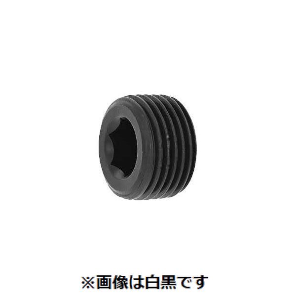 (LINEクーポン有)【個人宅配送不可】【個数：100個】SUNCO 4548325580327 【100個入】 直送 代引不可・他メーカー同梱不可 プラグNB 強力沈み PT 1／2