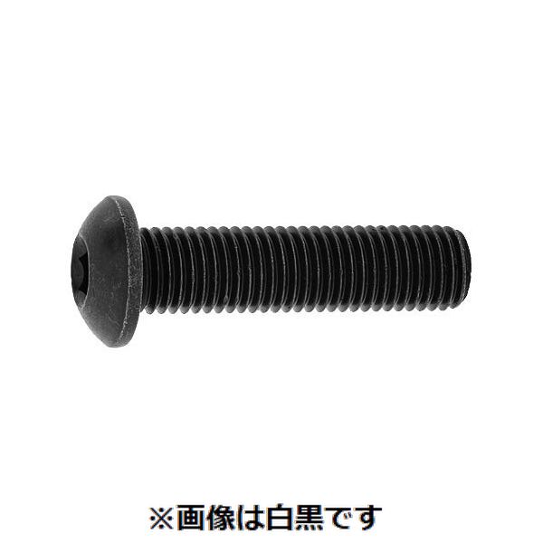 【個人宅配送不可】【個数：100個】SUNCO 4548325809374 【100個入】 直送 代引不可・他メーカー同梱不可 SUS ボタンCAP UNF 1／4−28X1／4