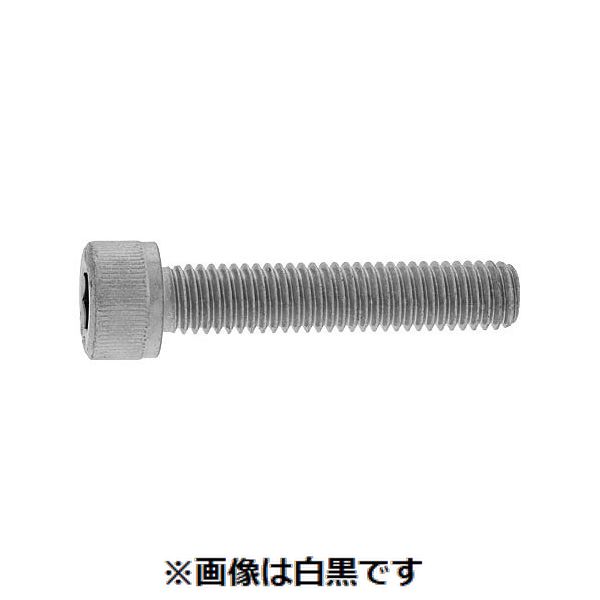 【個人宅配送不可】【個数：12個】SUNCO 4548325819724 【12個入】 直送 代引不可・他メーカー同梱不可 10．9CAP 全ネジ 18X100X100