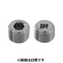 【個人宅配送不可】SUNCO 4548325876000 【500個入】 直送 代引不可・他メーカー同梱不可 SUSプラグ 沈み NPT 1/8