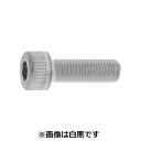 【個人宅配送不可】【個数:1個】SUNCO 4548833038105 直送 代引不可・他メーカー同梱不可 CAP 細目P-3.0 36 X 140(4)