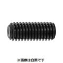 【個人宅配送不可】【個数:1000個】SUNCO 4548833124785 【1000個入】 直送 代引不可・他メーカー同梱不可 三価ブラック HS ナガイ 平先 3 X 12