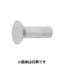 【個人宅配送不可】【個数:150個】SUNCO 4548833226380 【150個入】 直送 代引不可・他メーカー同梱不可 ユニクロ 皿リベット 8 X 20(4)